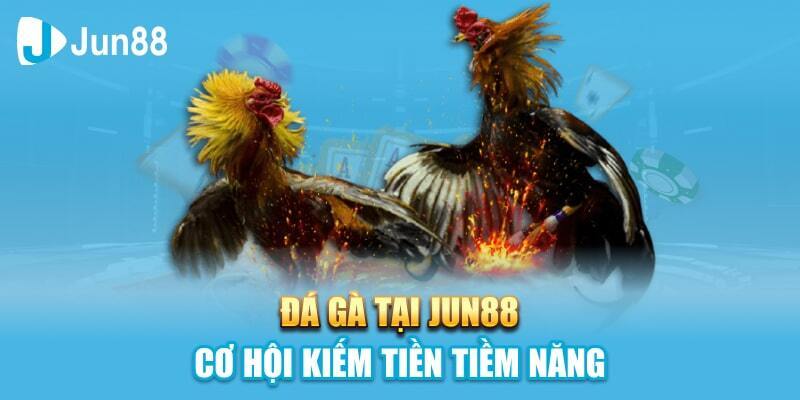 cách chơi đá gà Jun88