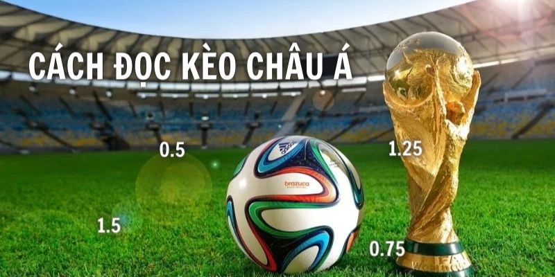 đọc kèo bóng đá châu á