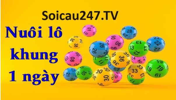 Nuôi Lô Kép Khung 1 Ngày Là Gì