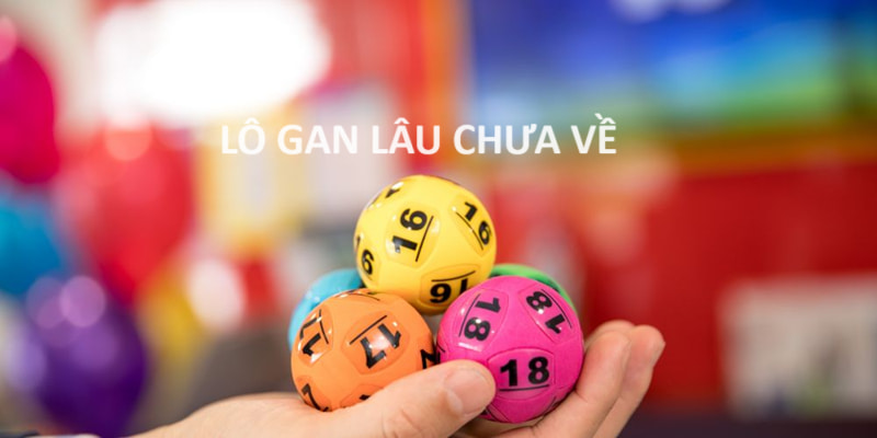 Lợi Ích Của Việc Sử Dụng Lô Gan