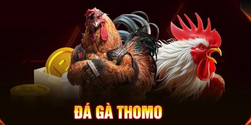 Kinh nghiệm đá gà hay